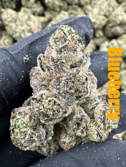 Exotic Eighths Variety Bundle - 14 g THCA (Exotic)