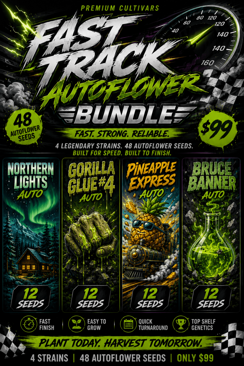 Fast Track Autoflower Seed Bundle - 48 Auto Seeds