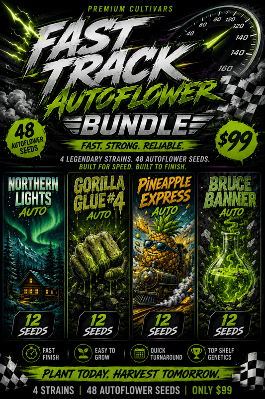 Fast Track Autoflower Seed Bundle - 48 Auto Seeds