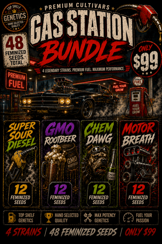 Gas Station Seed Bundle - 48 Feminized Seeds