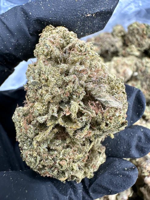 Heartless Bundle - Godfather OG, Gorilla Glue 4, Sour Tangie THCA Flower