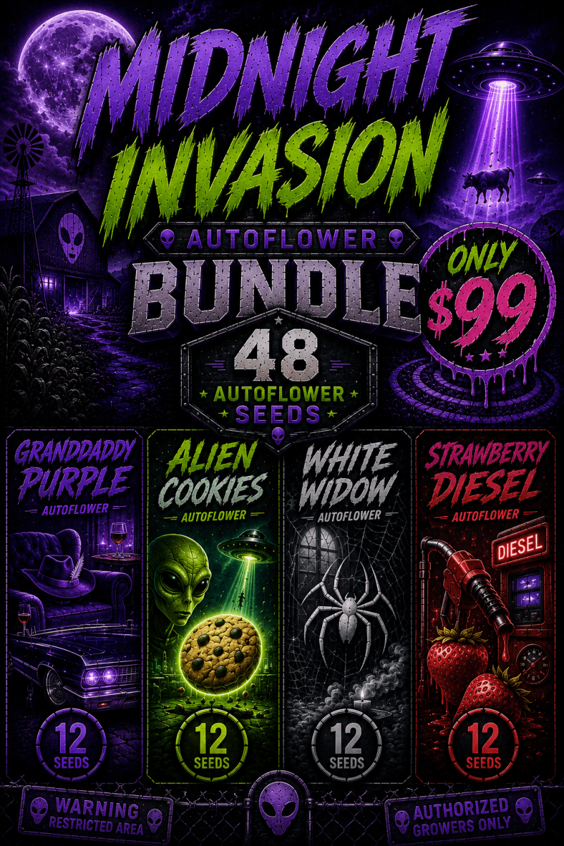 Midnight Invasion Autoflower Seed Bundle - 48 Auto Seeds