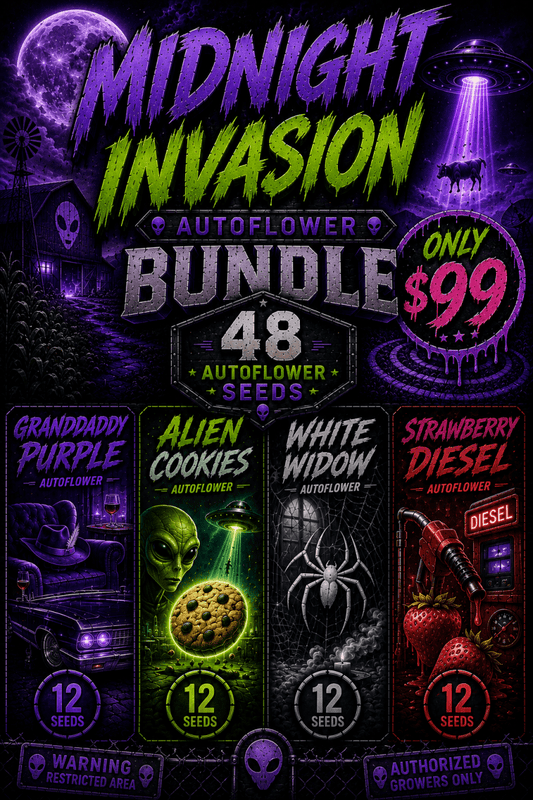 Midnight Invasion Autoflower Seed Bundle - 48 Auto Seeds