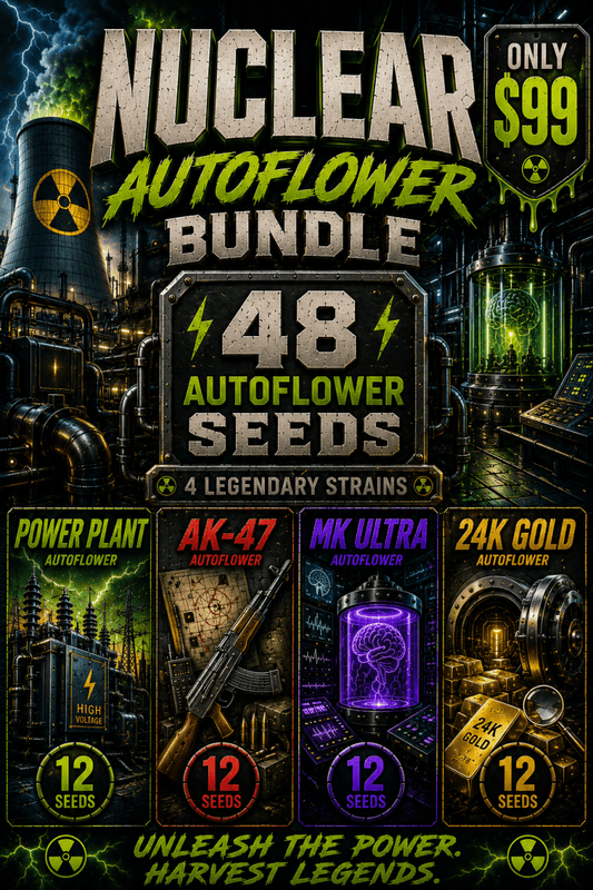 Nuclear Autoflower Seed Bundle - 48 Auto Seeds