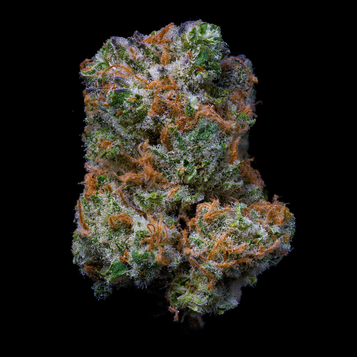 Oz B Grade