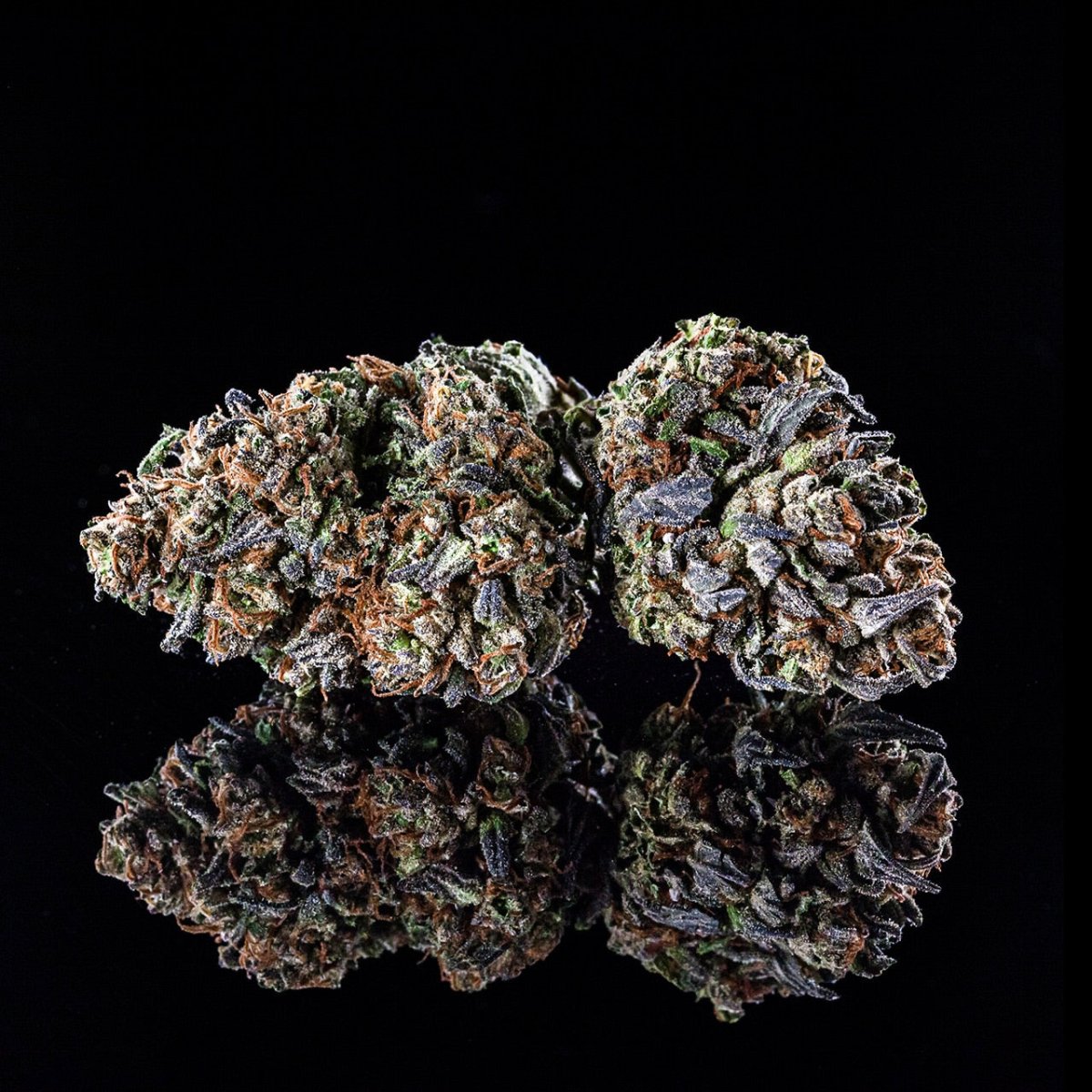 Pink Rozay Seeds – Premium Cultivars