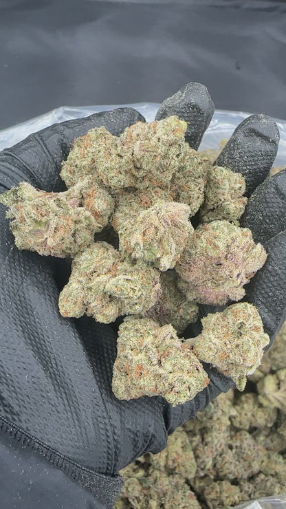 Biscotti THCA Flower