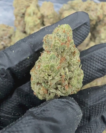 Sour Tangie THCA Flower