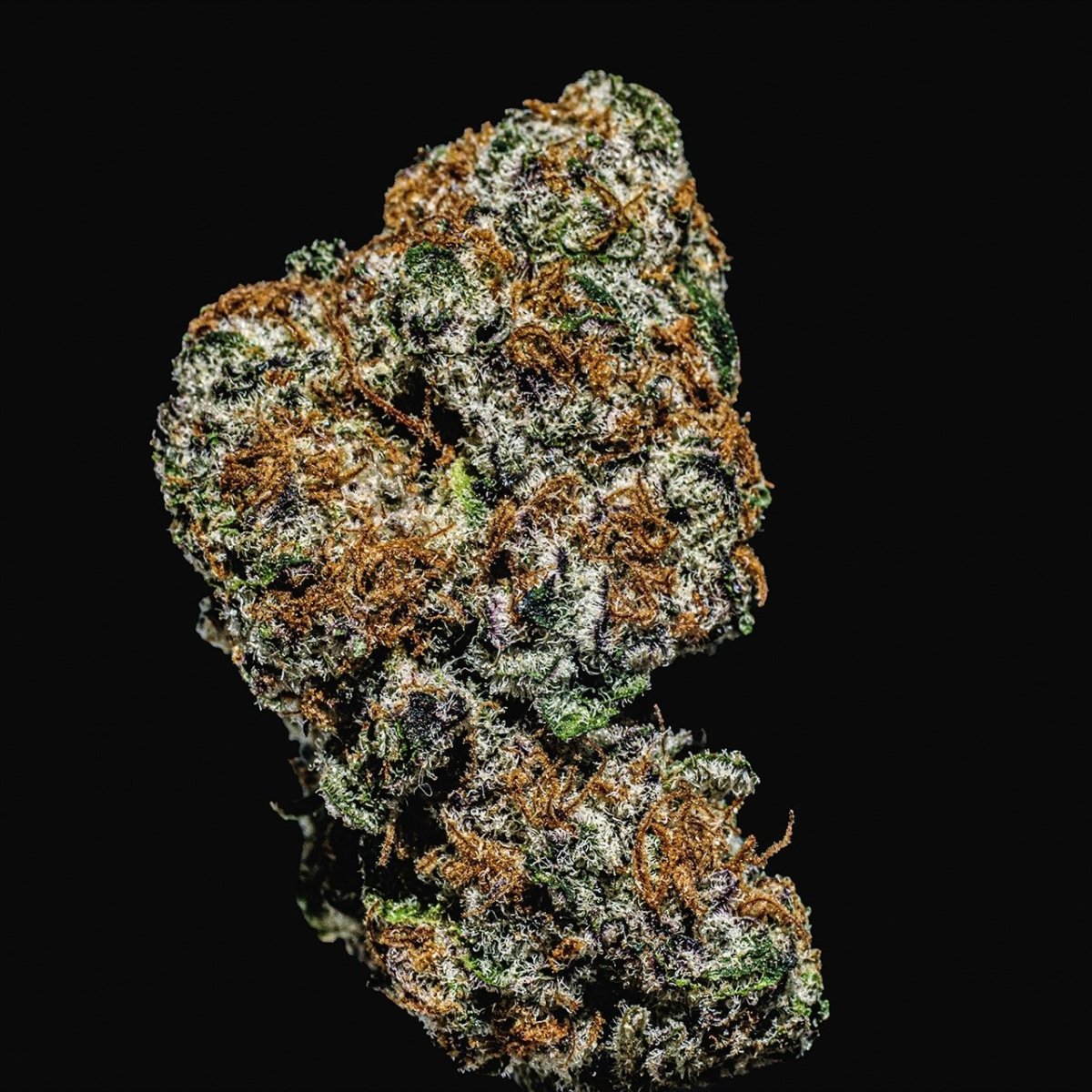 Sleepy Joe OG Seeds - Premium Cultivars