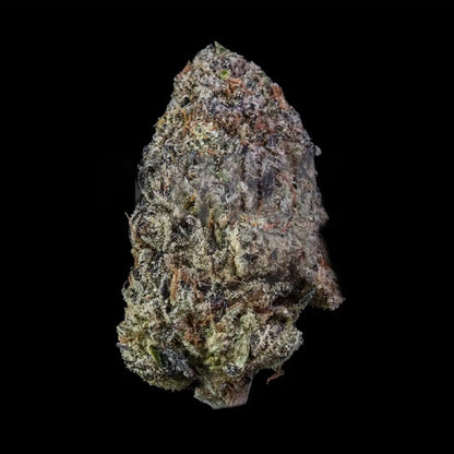 SS1 Strain Seeds - Premium Cultivars