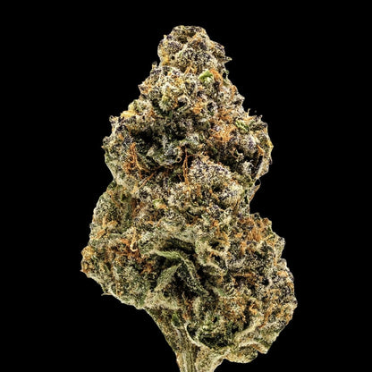 Sweet Tea Seeds - Premium Cultivars