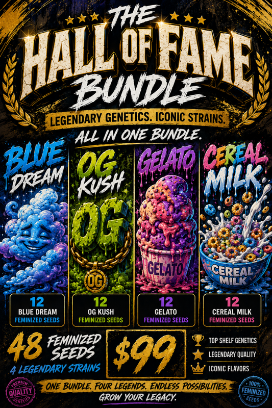 The Hall of Fame Seed Bundle - 48 Feminized Seeds