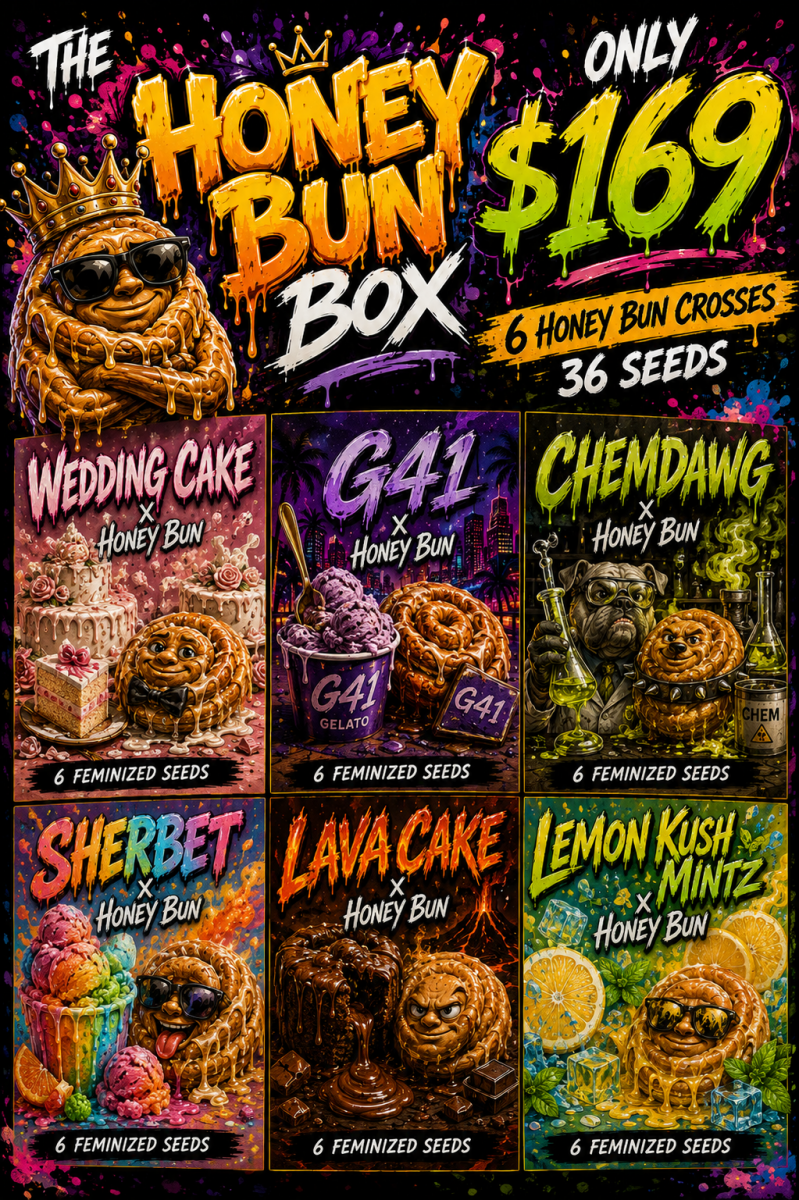 The Honey Bun Box- 6 Strains x 6 Feminized Seeds Each