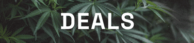 Cannabis Seed Deals