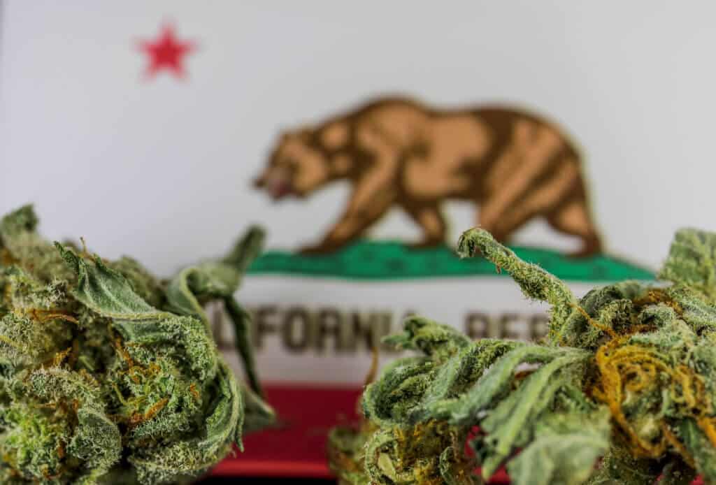 California cannabis