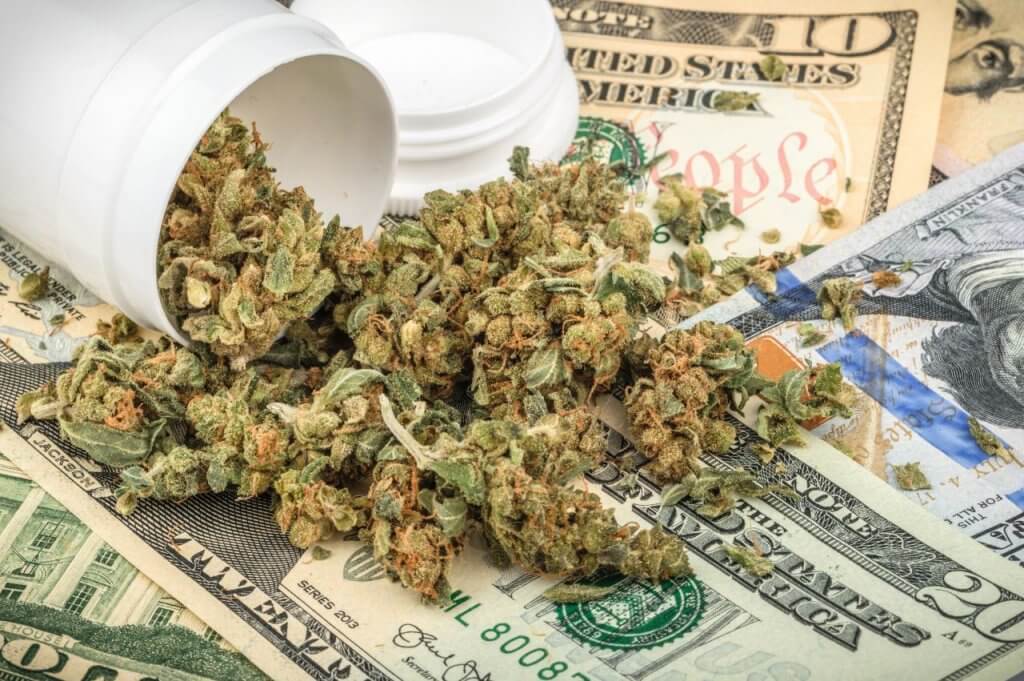Cannabis buds and money