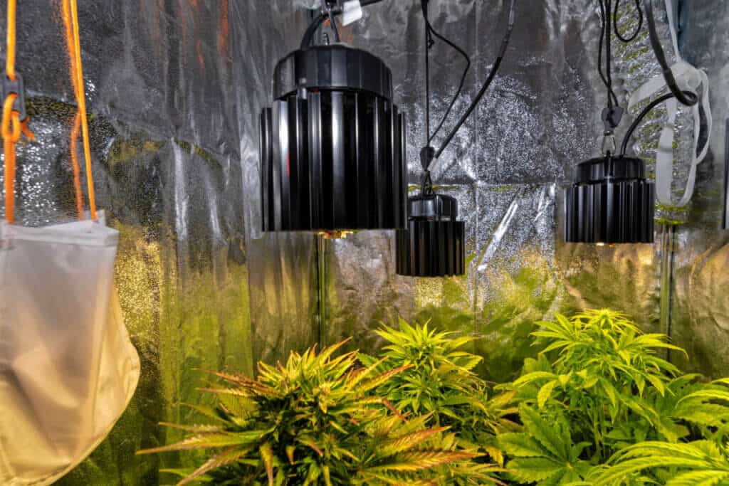 What is a grow tent?