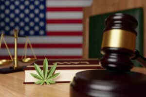 DEA reclassifies cannabis seeds as hemp