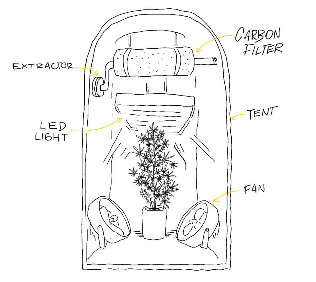 Cannabis grow tent