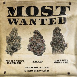 Most Wanted Mix Pack