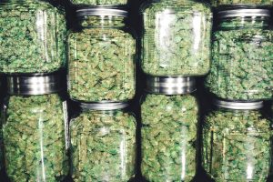 Jar curing cannabis