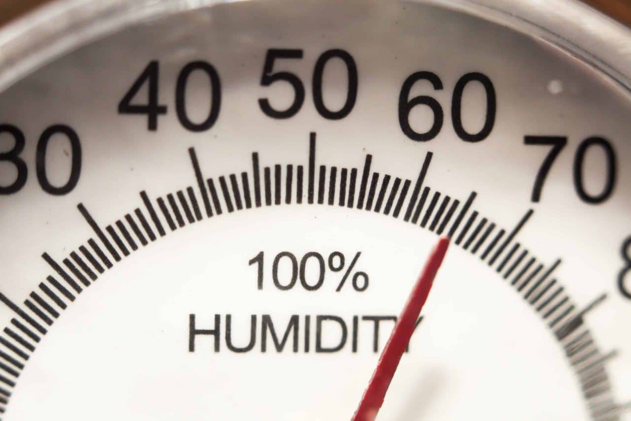 Hygrometer for cannabis humidity