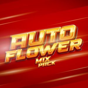 auto flower mix pack