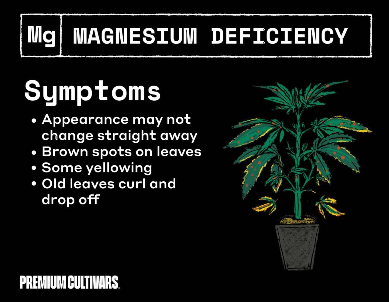 Cannabis magnesium deficiency symptoms