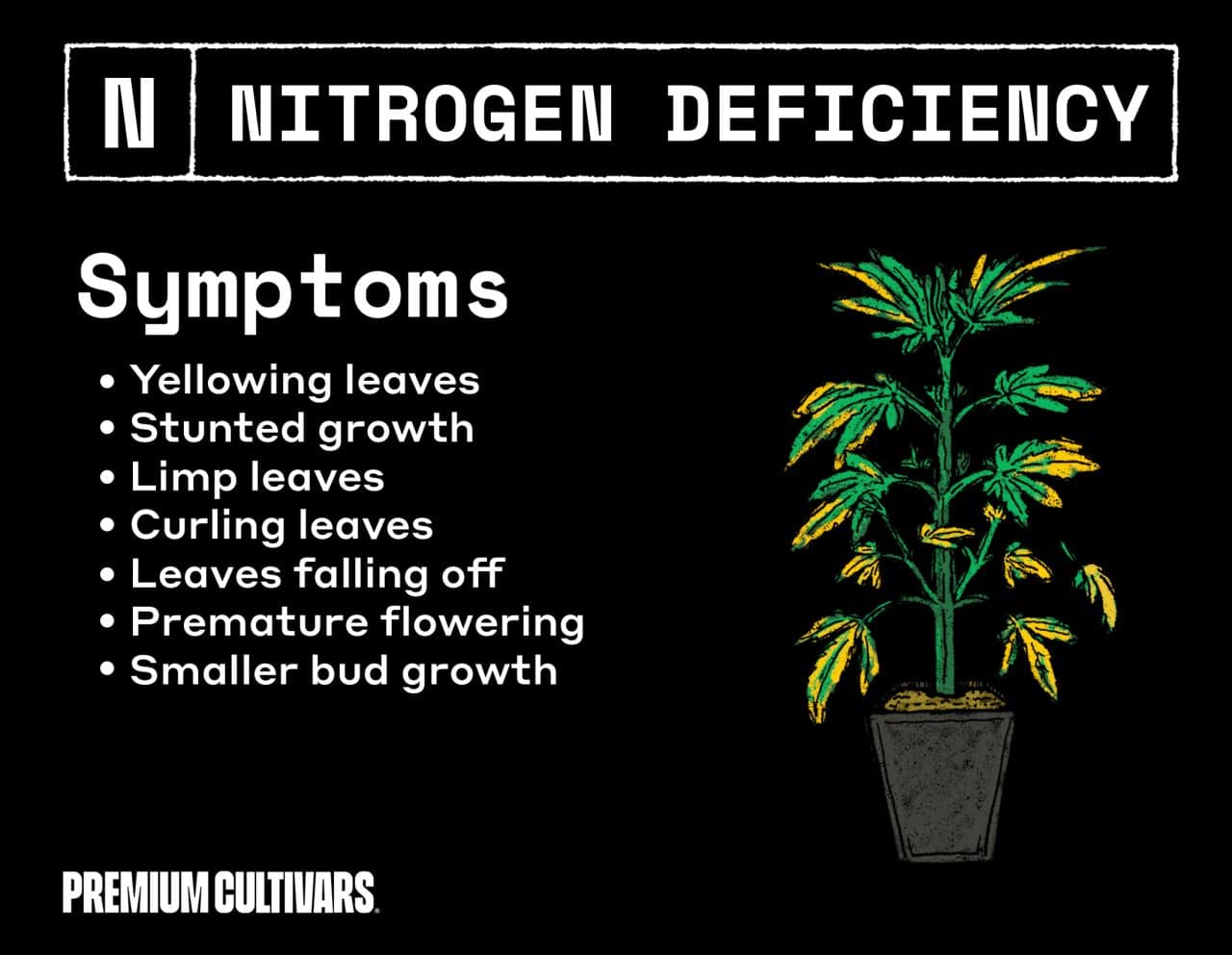 Nitrogen deficiency symptoms photo