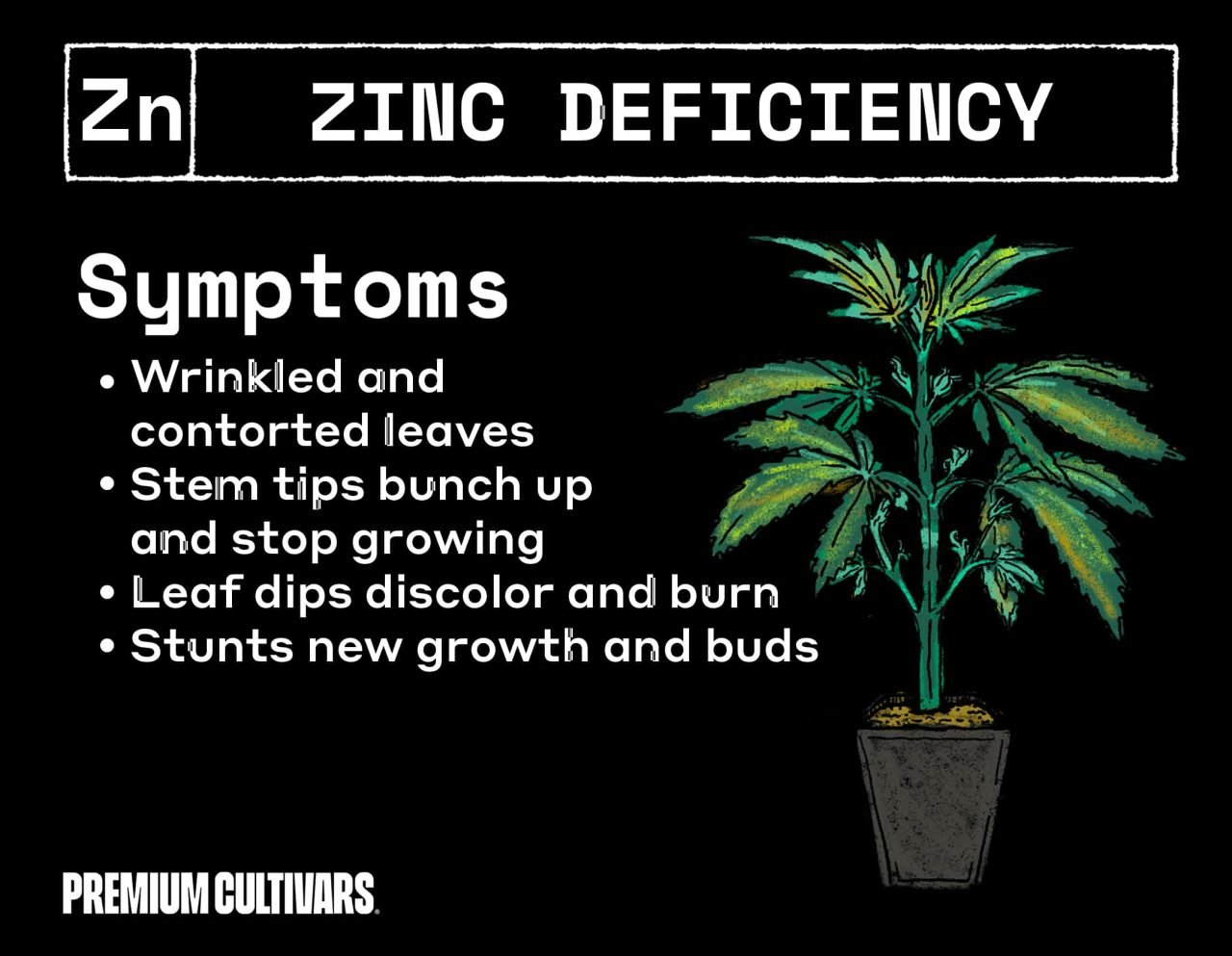 Symptoms of a cannabis zinc deficiency